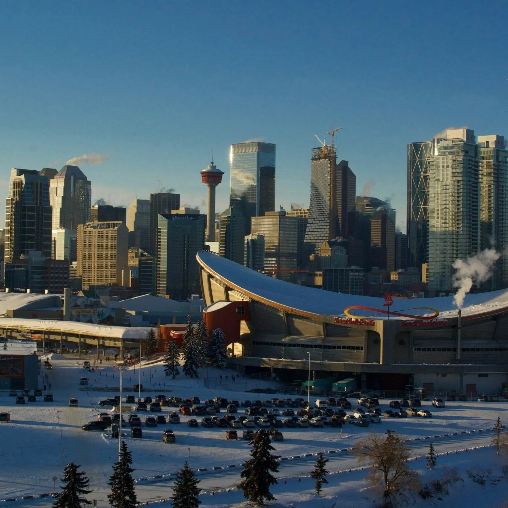 Calgary Real Estate Market: Year in Review and Outlook