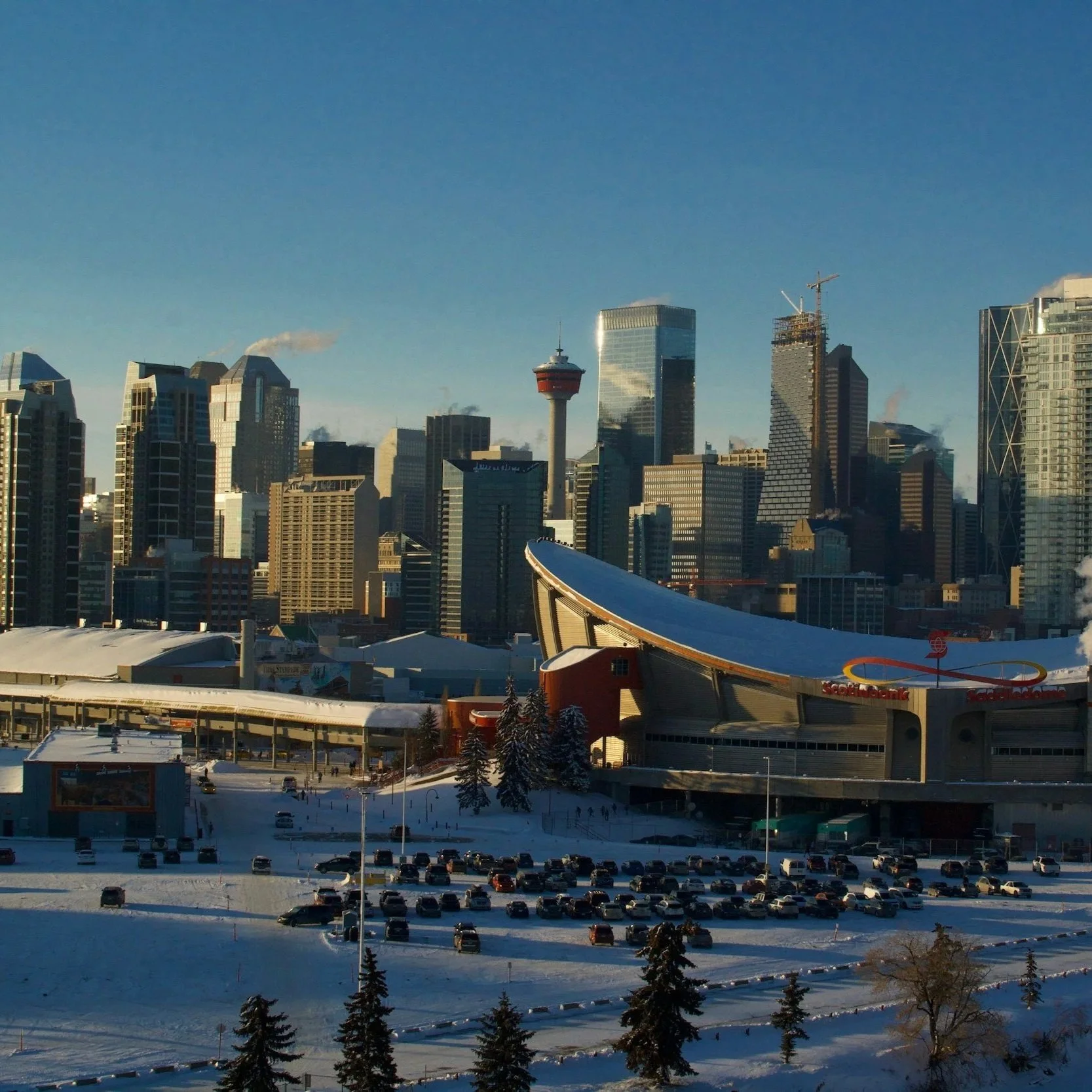 Greater Calgary Property Market Report: January 2026