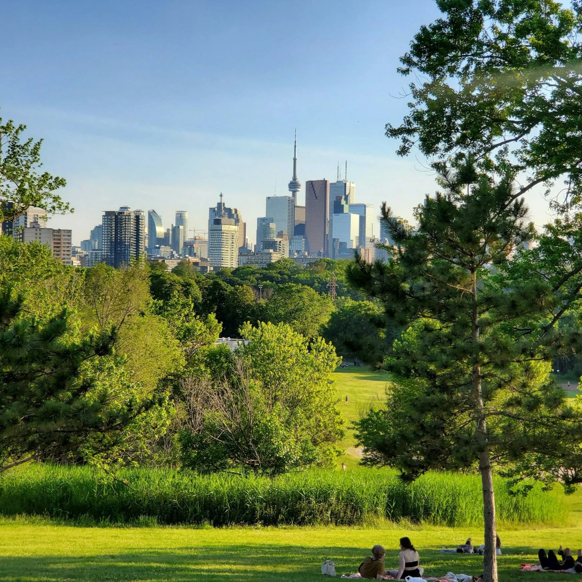 Metro Toronto Real Estate Market Update: September 2026