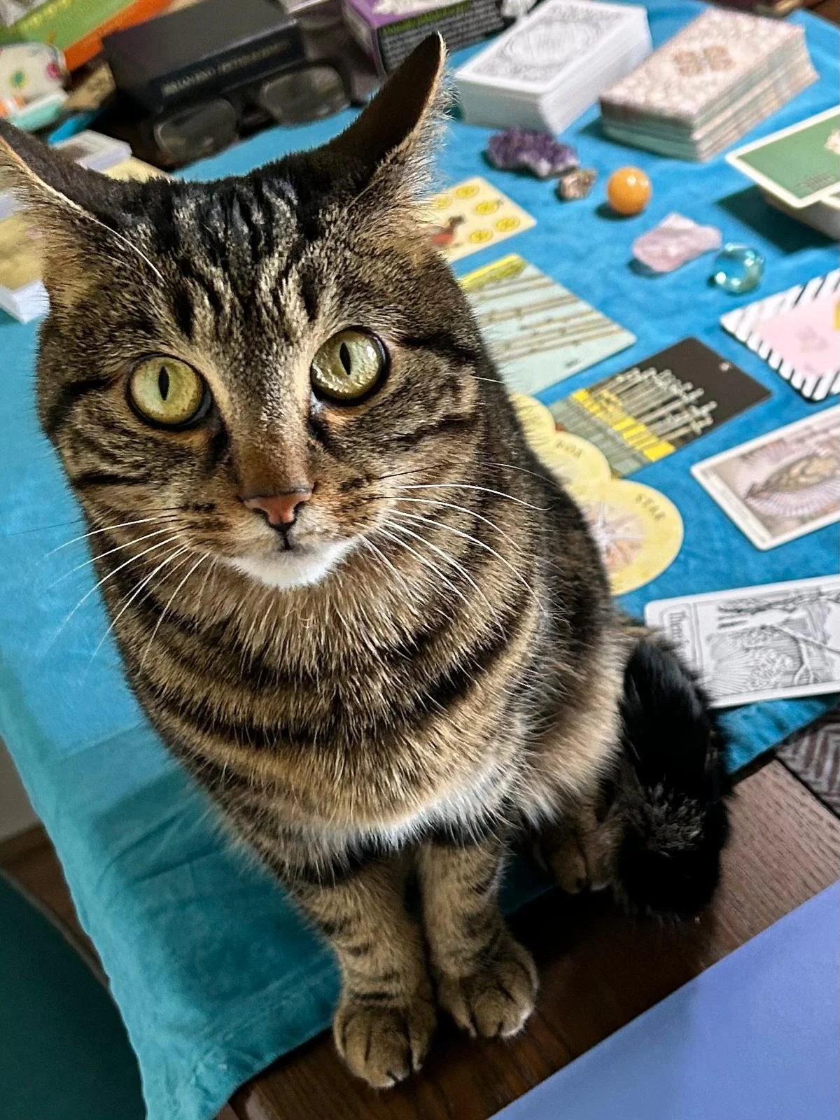 Tarot Cultures - Full Price Ticket (launch night and both conference days)