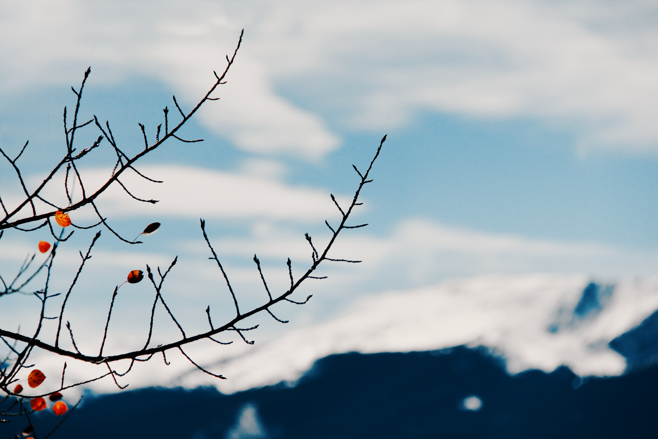 IMG_7932.png