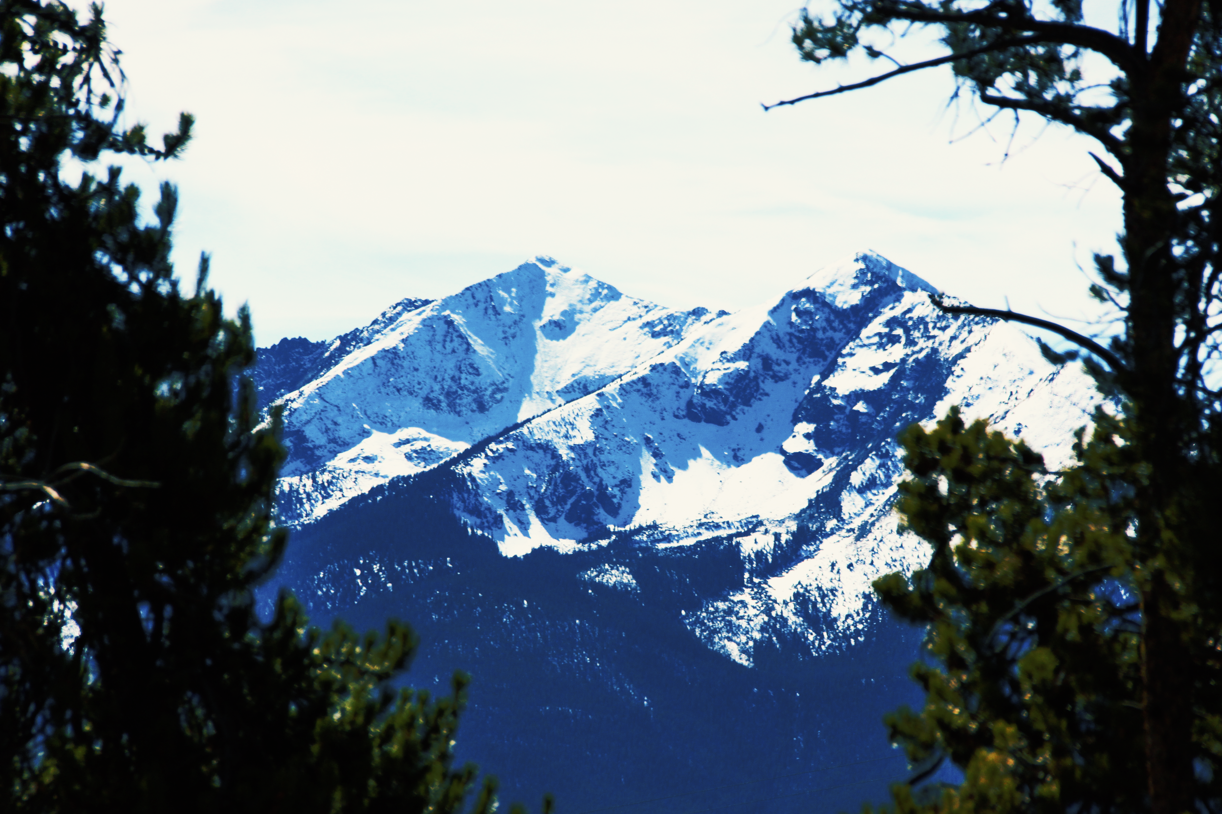 IMG_7939.png