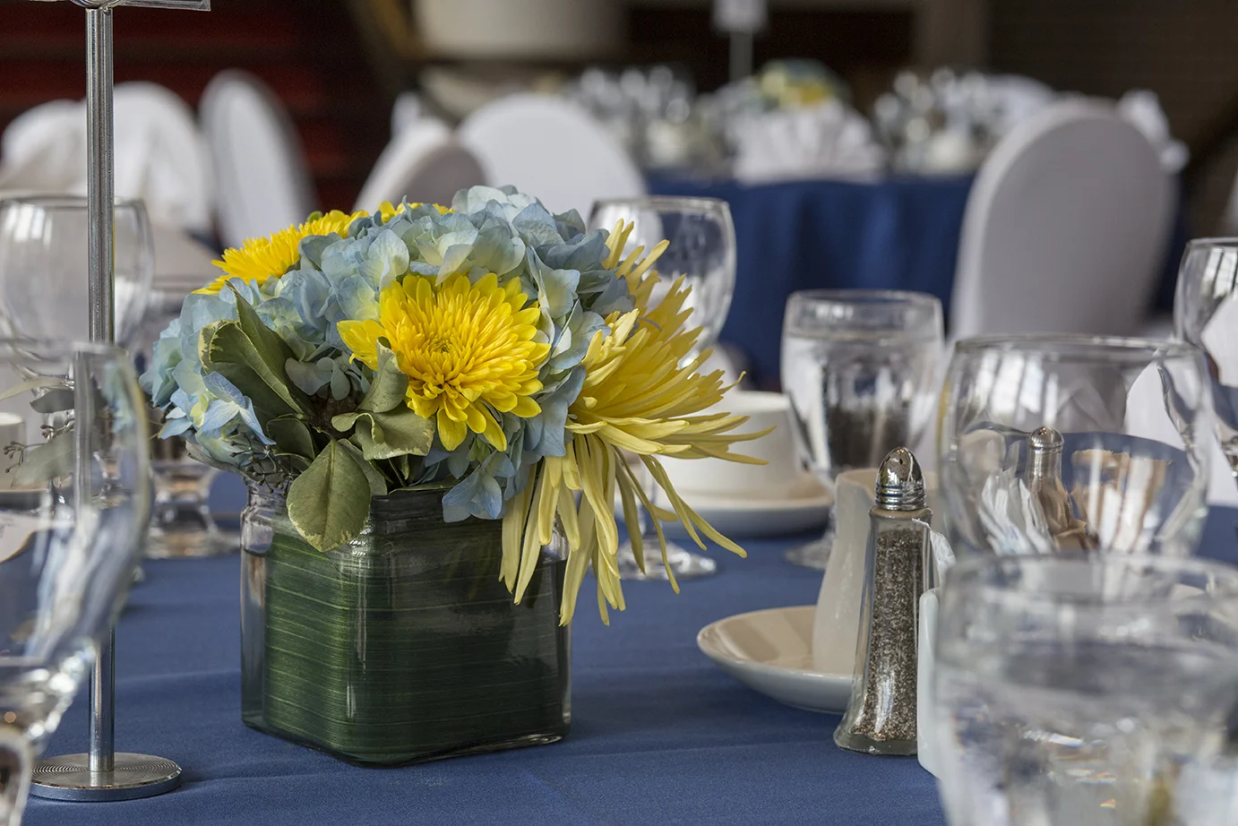 ANP_Events019.jpg