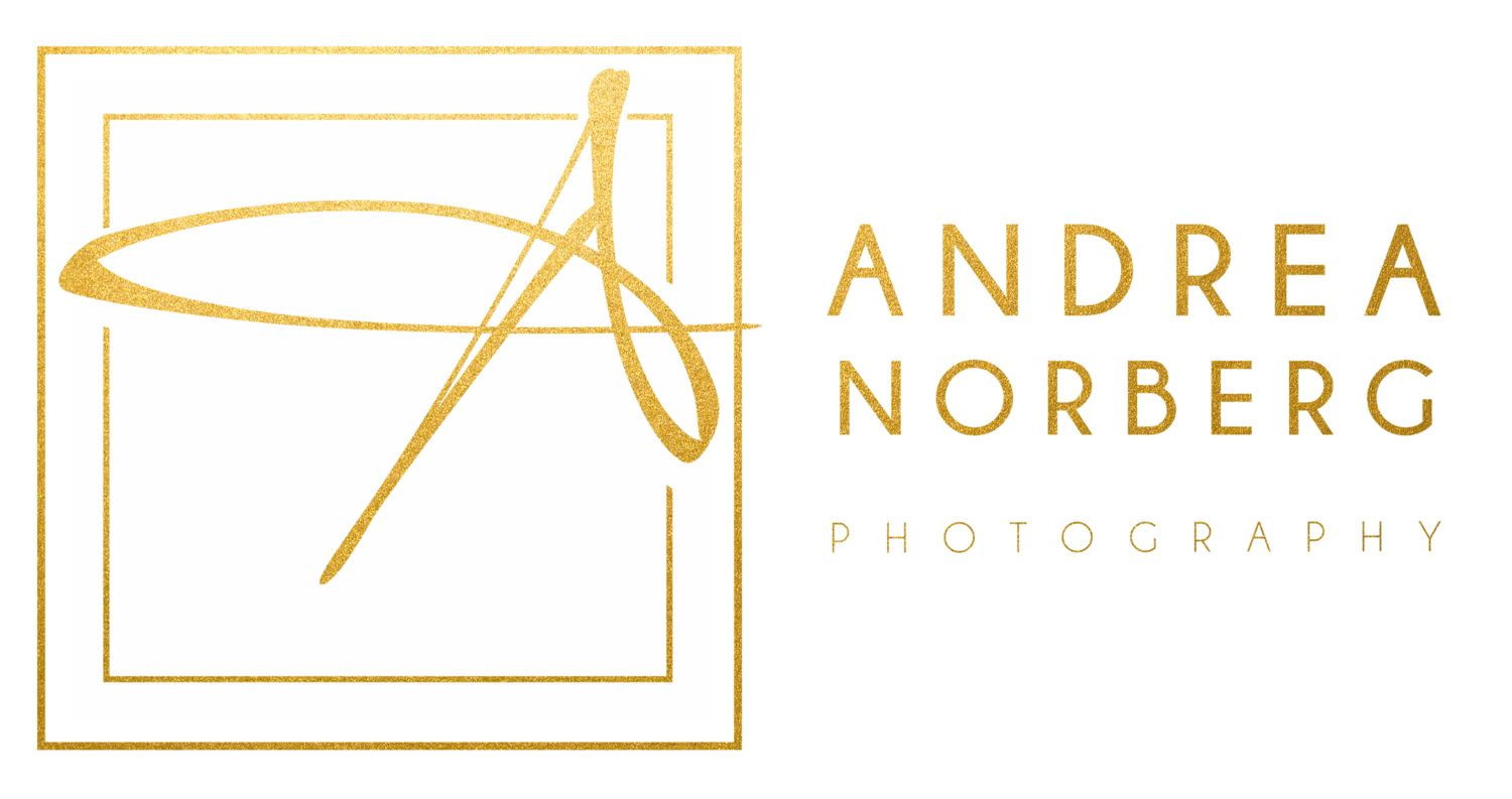 Andrea Norberg Photography | Regina Professional Photo Studio