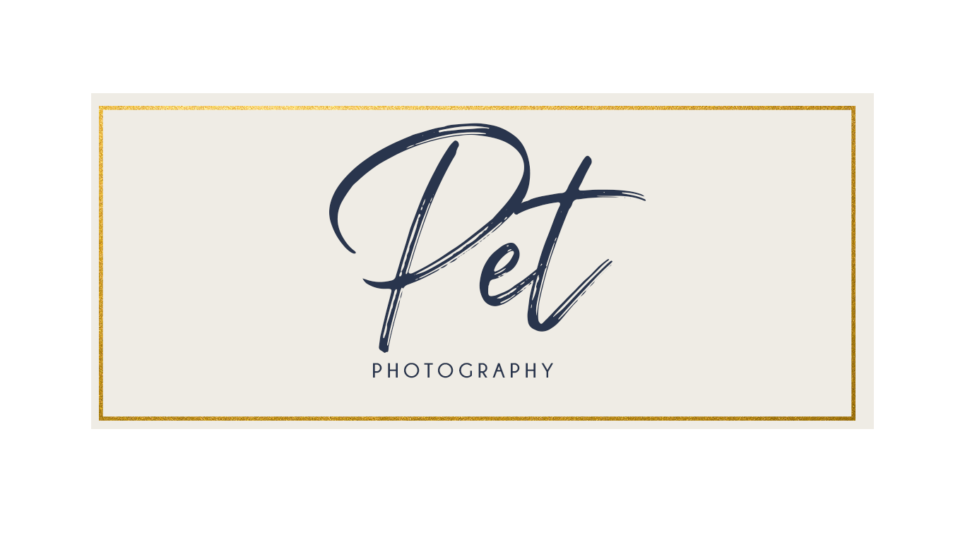 pet photography.png