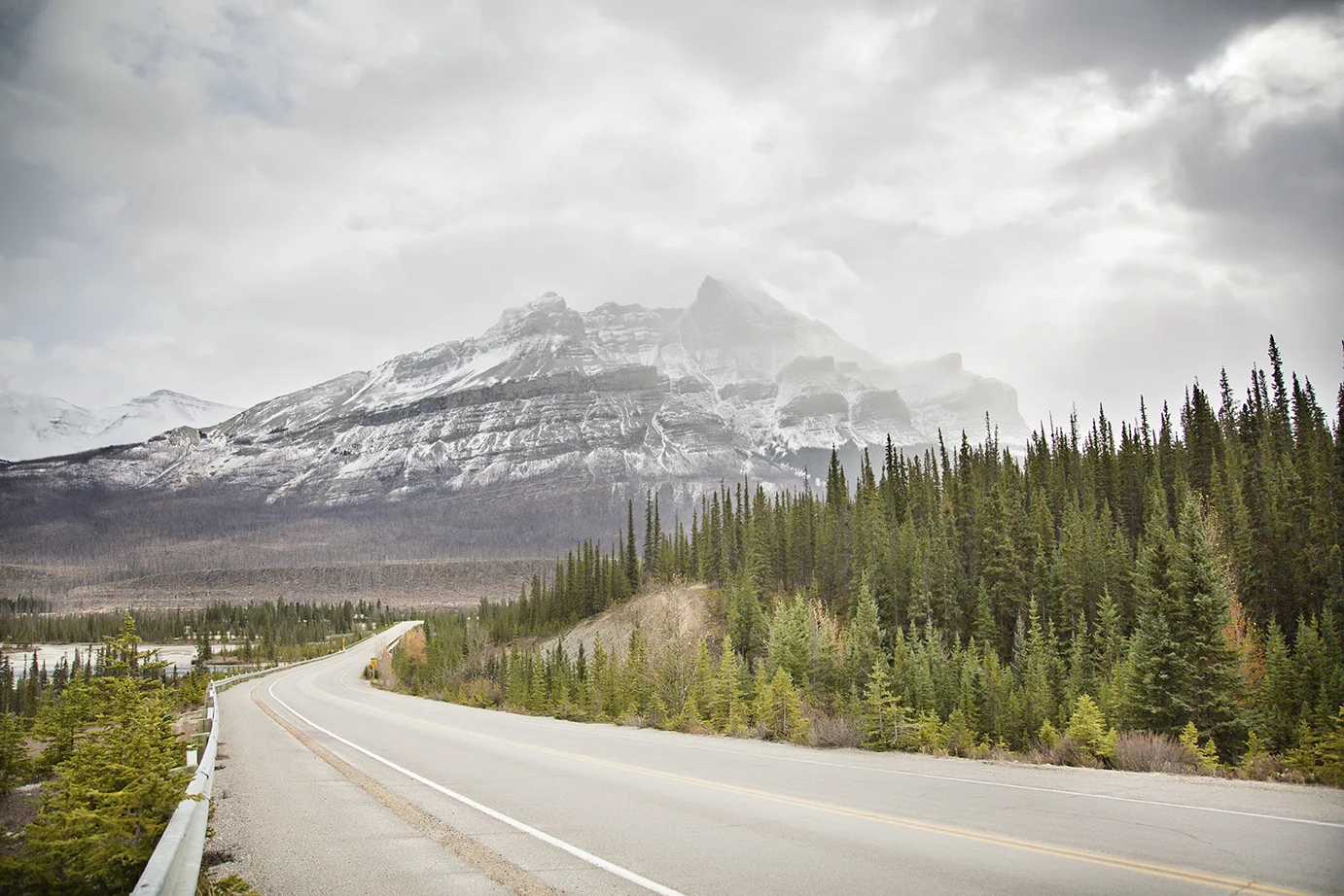 She slices, she dices!