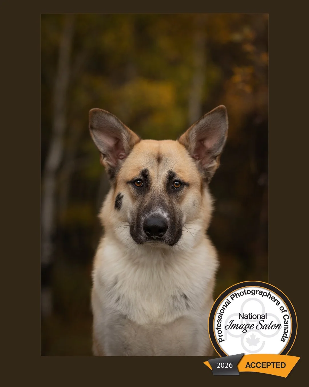 The Eyes Have It - Accepted