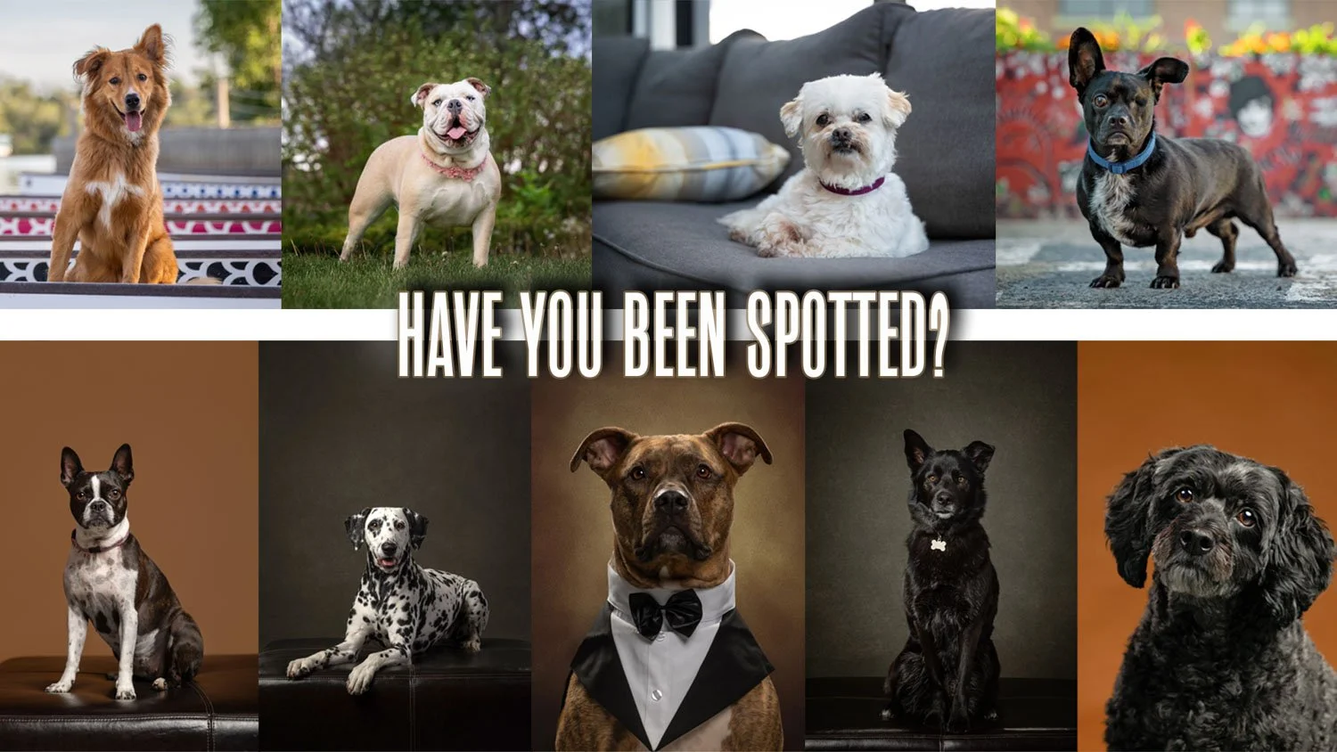 Have you been spotted?