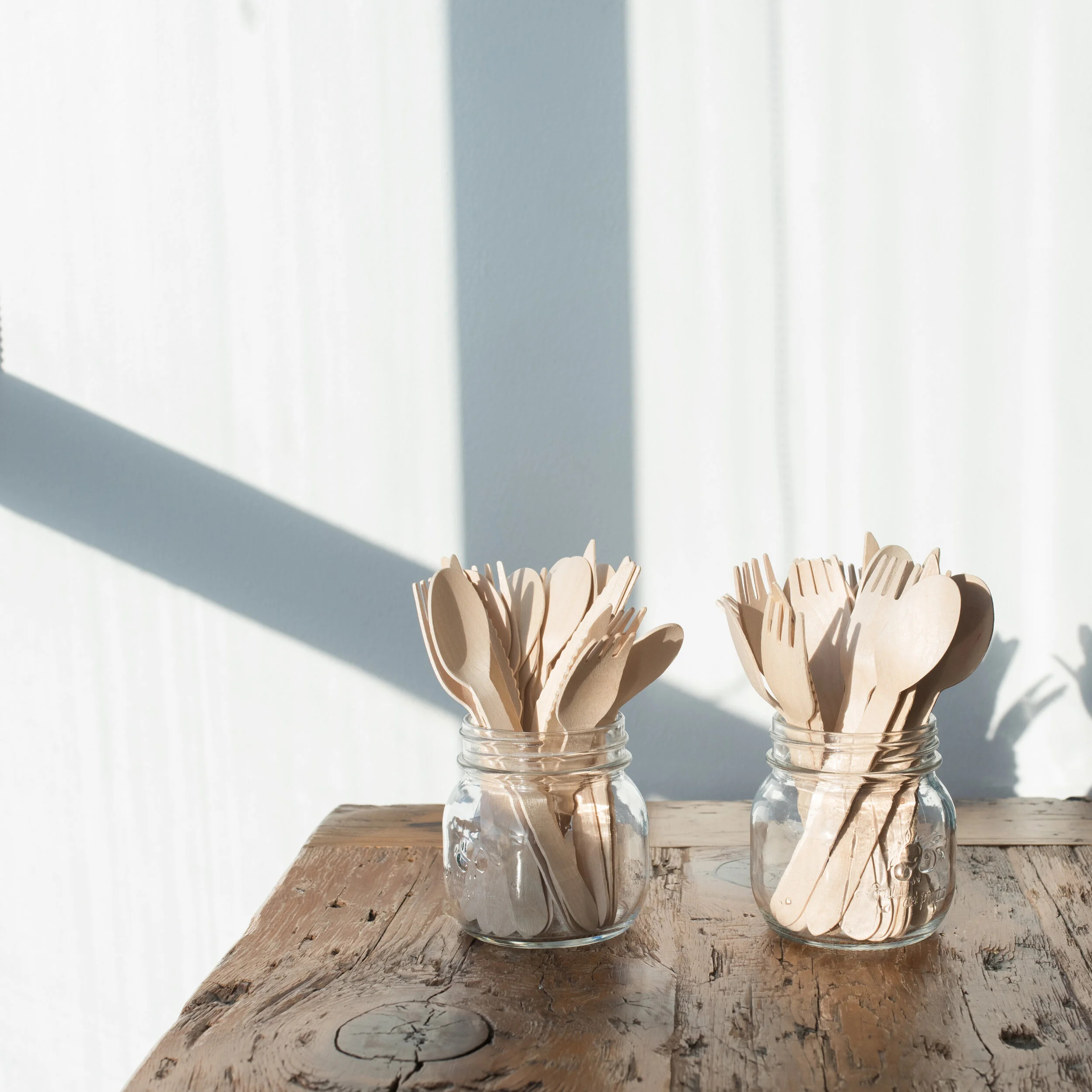 CaleighMorrenImagery-Hive-Photo-04.jpg