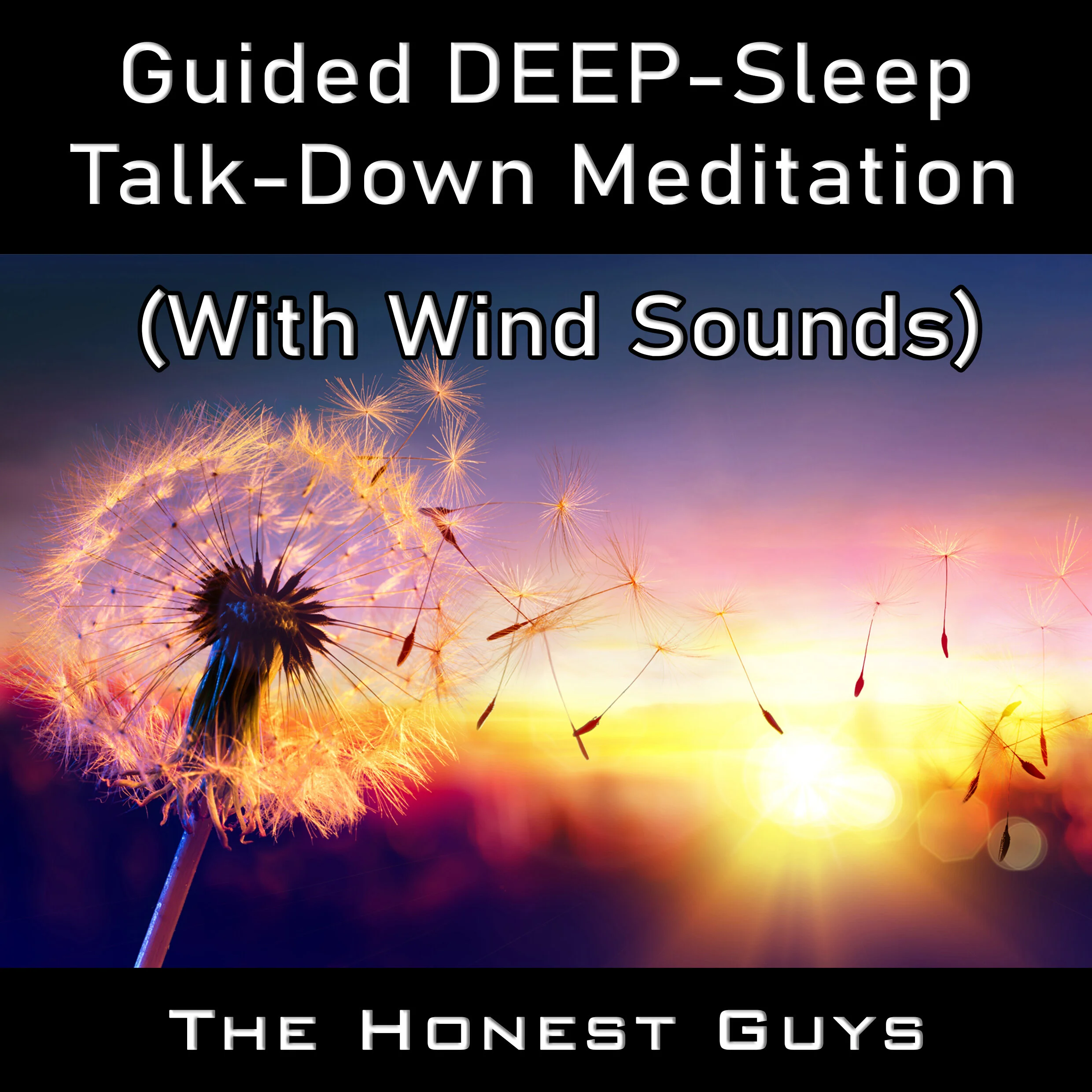 MP3 Guided DEEPSleep TalkDown Meditation (With Wind Sounds) — TheHonestGuys.co.uk
