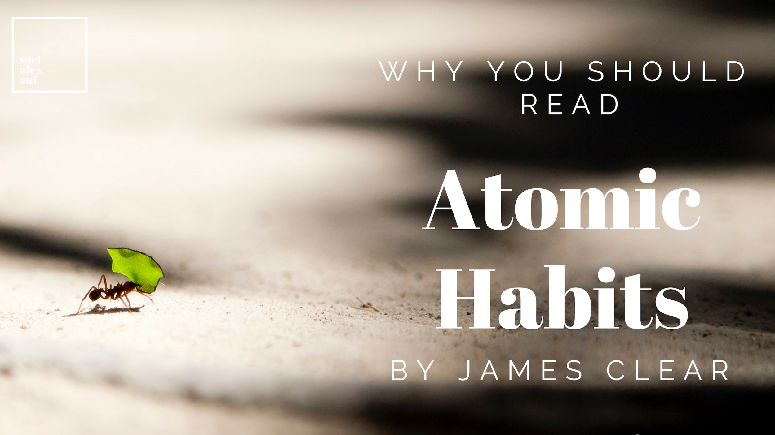 Why you should read Atomic habits.png