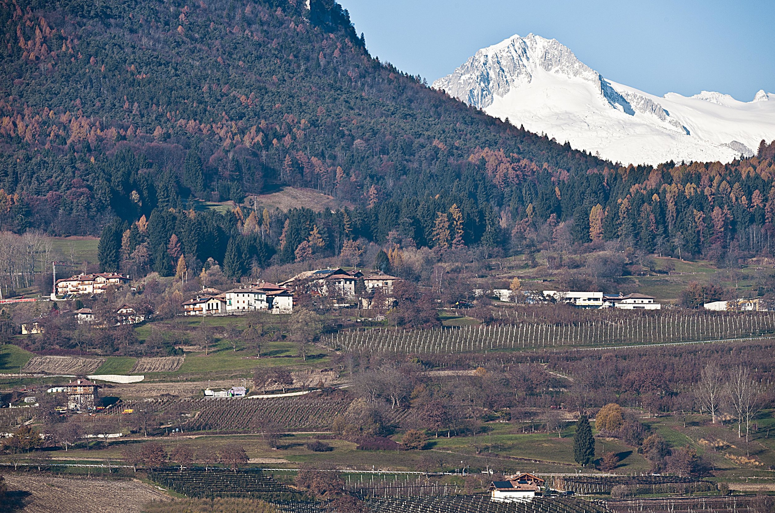 Agritur Pra Cavai con AdamelloCR.jpeg