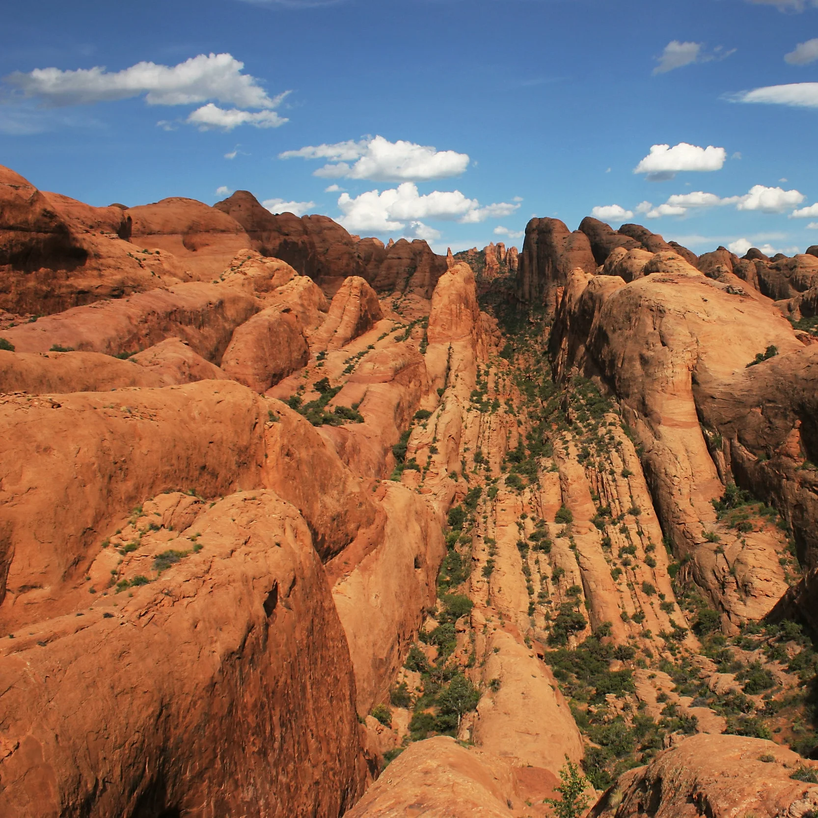 IMG_9061 - behind the rocks.jpg