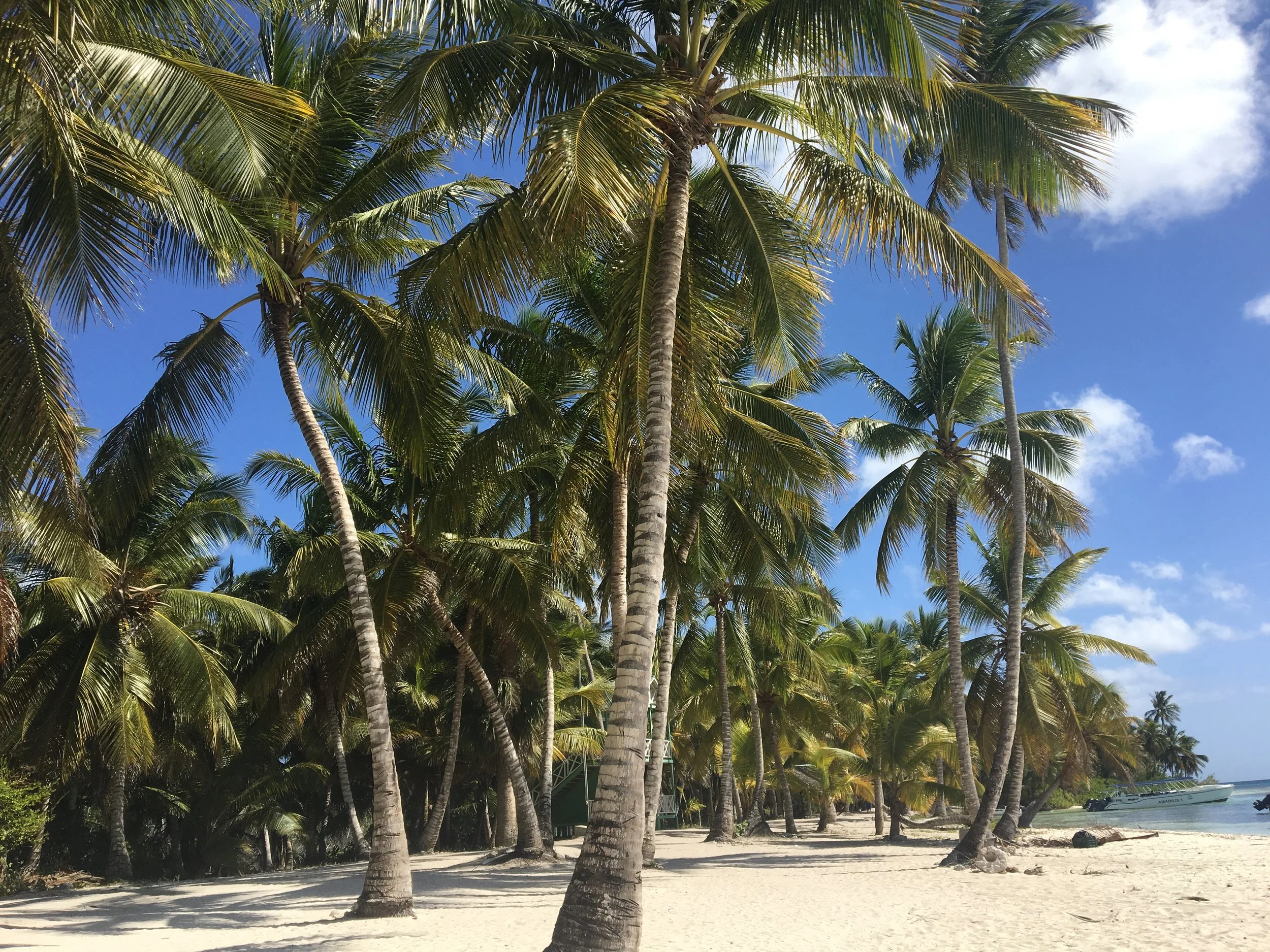 6o Festival Marisco Ripiao en Sánchez, República Dominicana