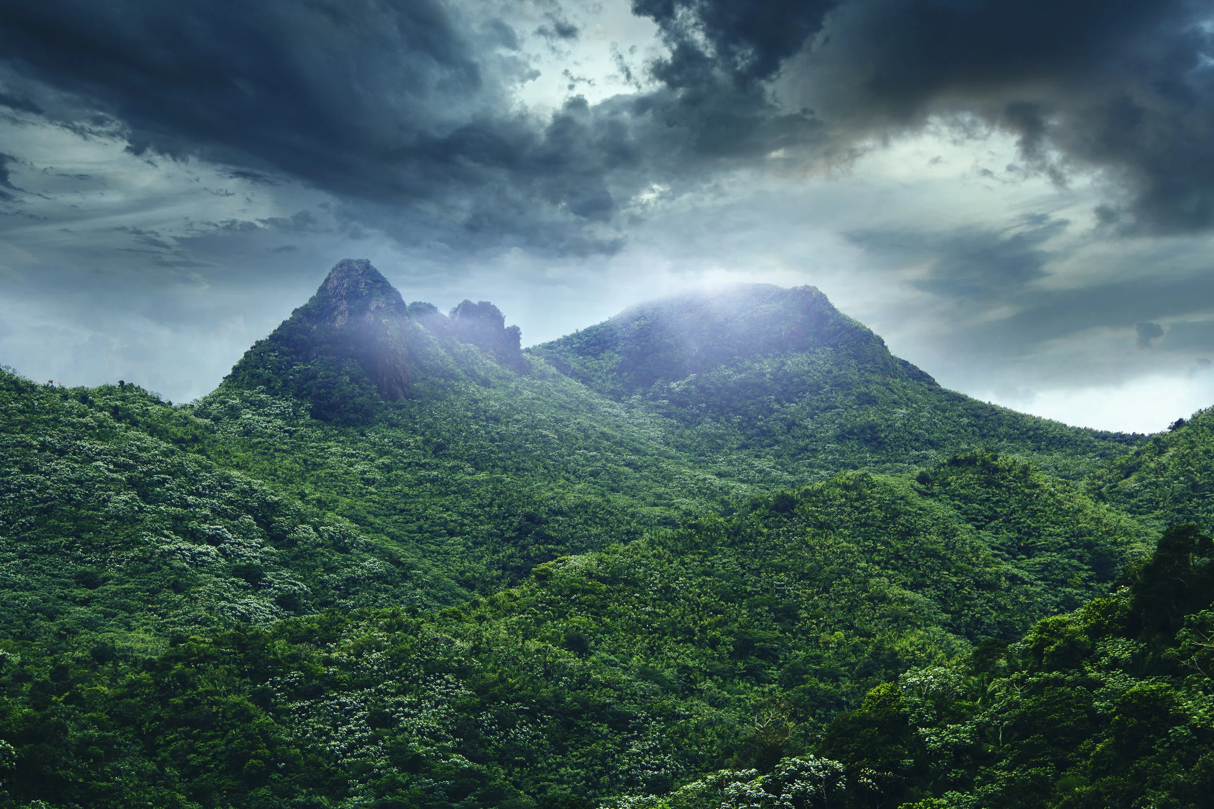 Día Nacional de las Tierras Públicas en el Bosque Nacional de El Yunque
