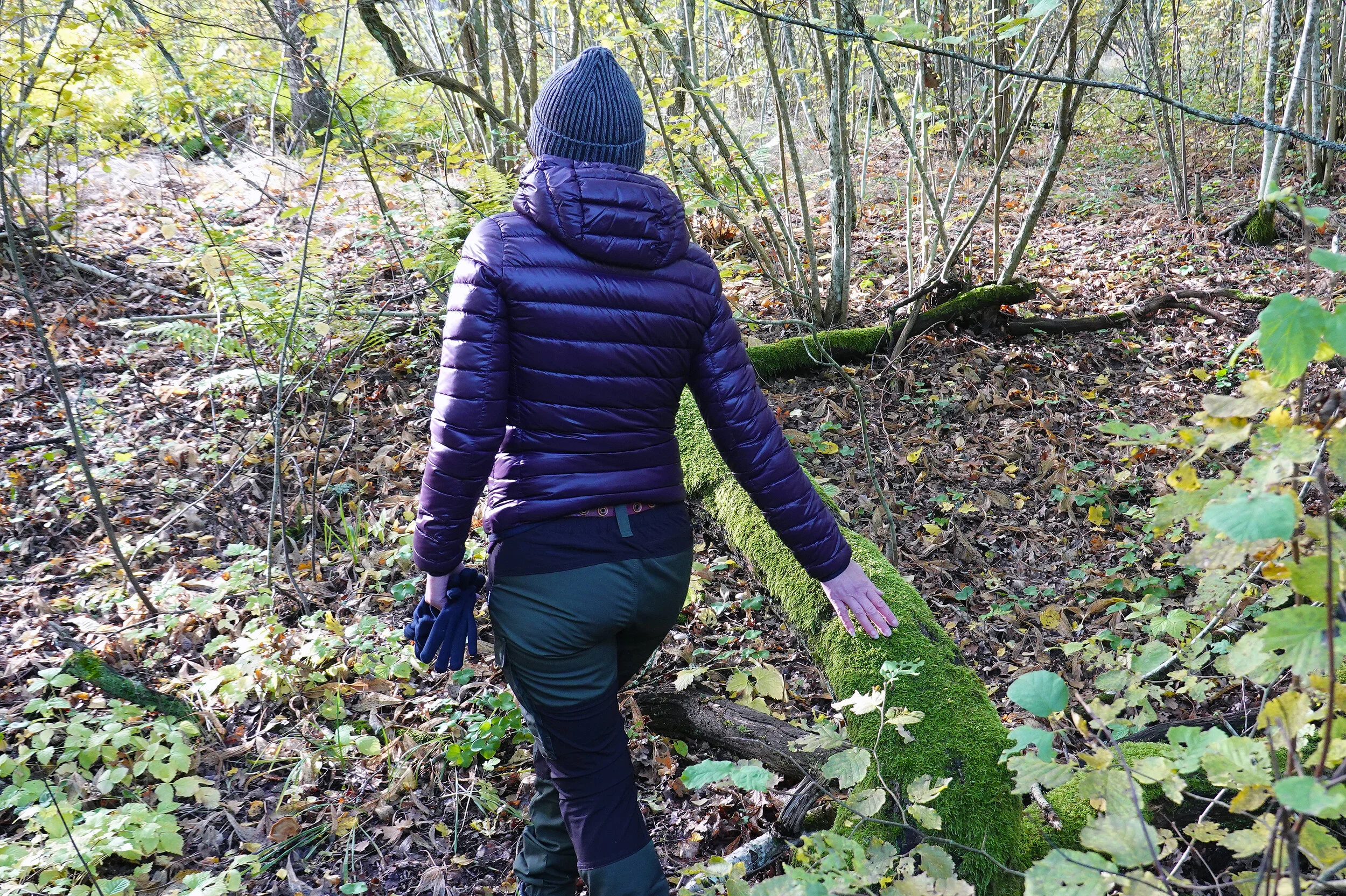 SOLD OUT: Nature and Forest Therapy in Seattle!