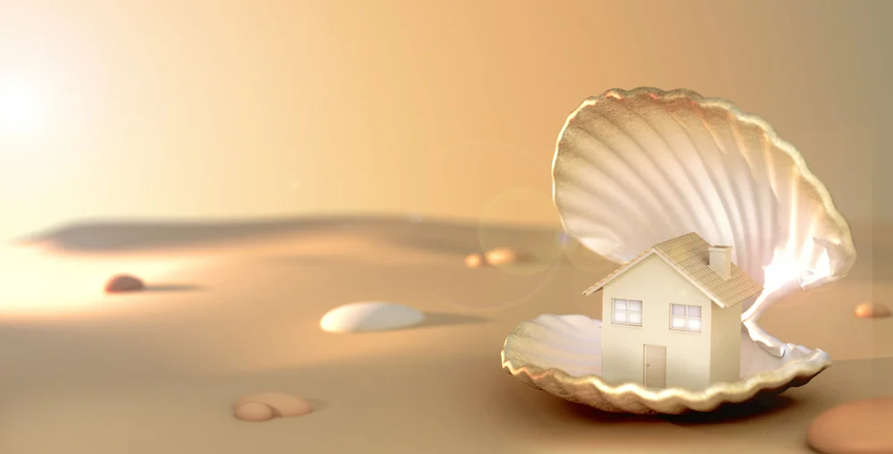 House in Shell.jpg