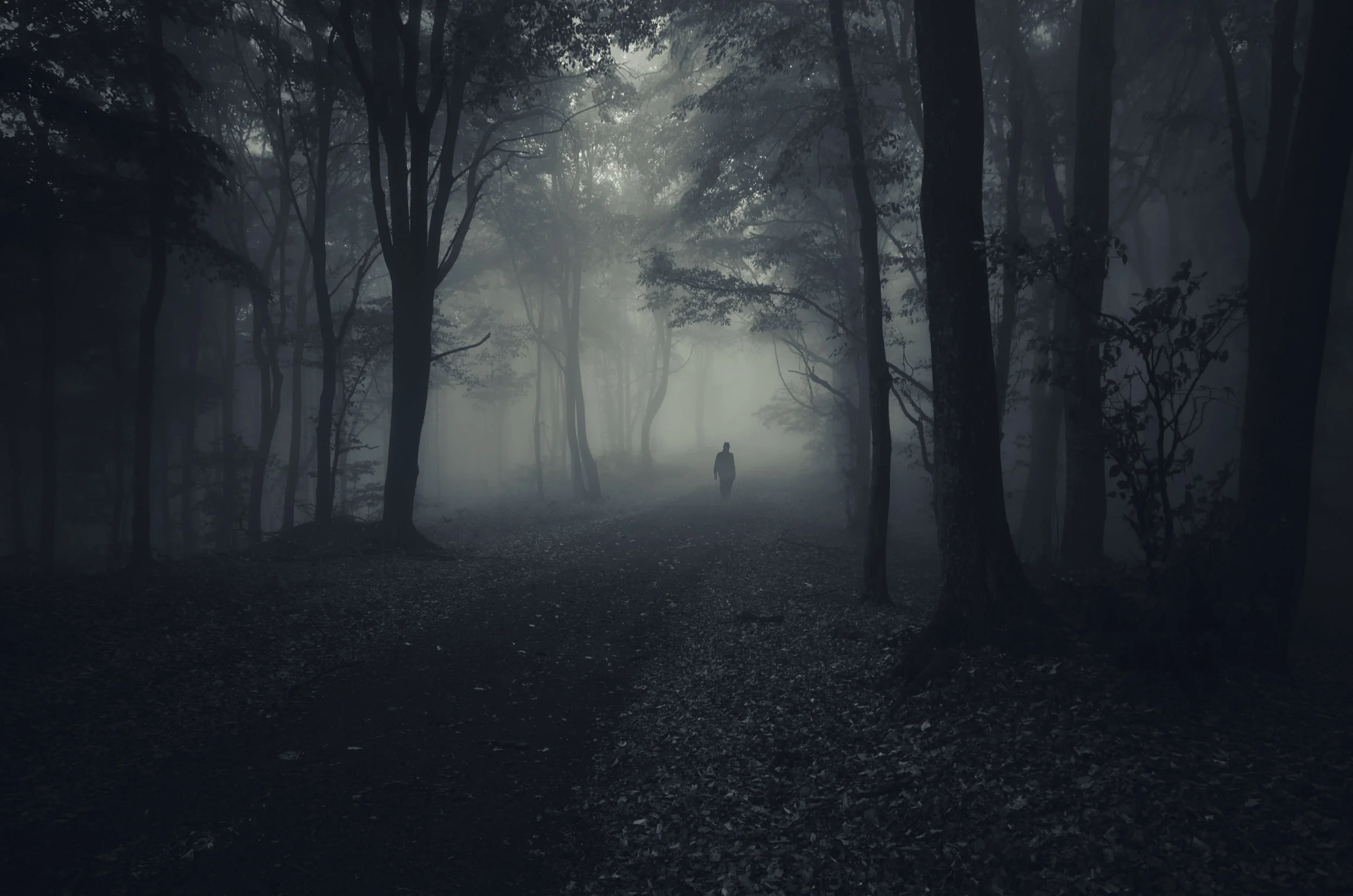 dark wood.jpeg