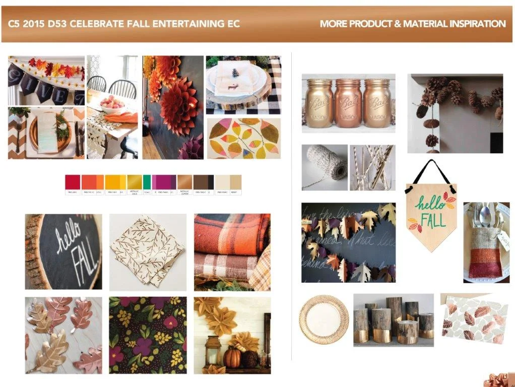 Fall_focal_concept[72].jpg
