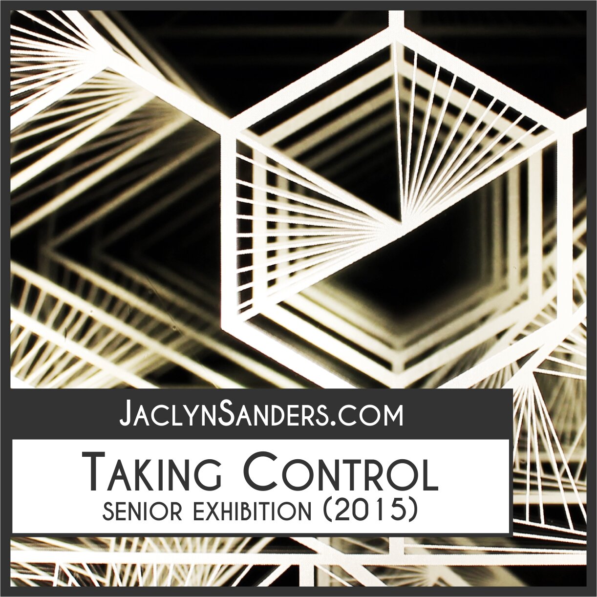 Senior Exhibition: Taking Control