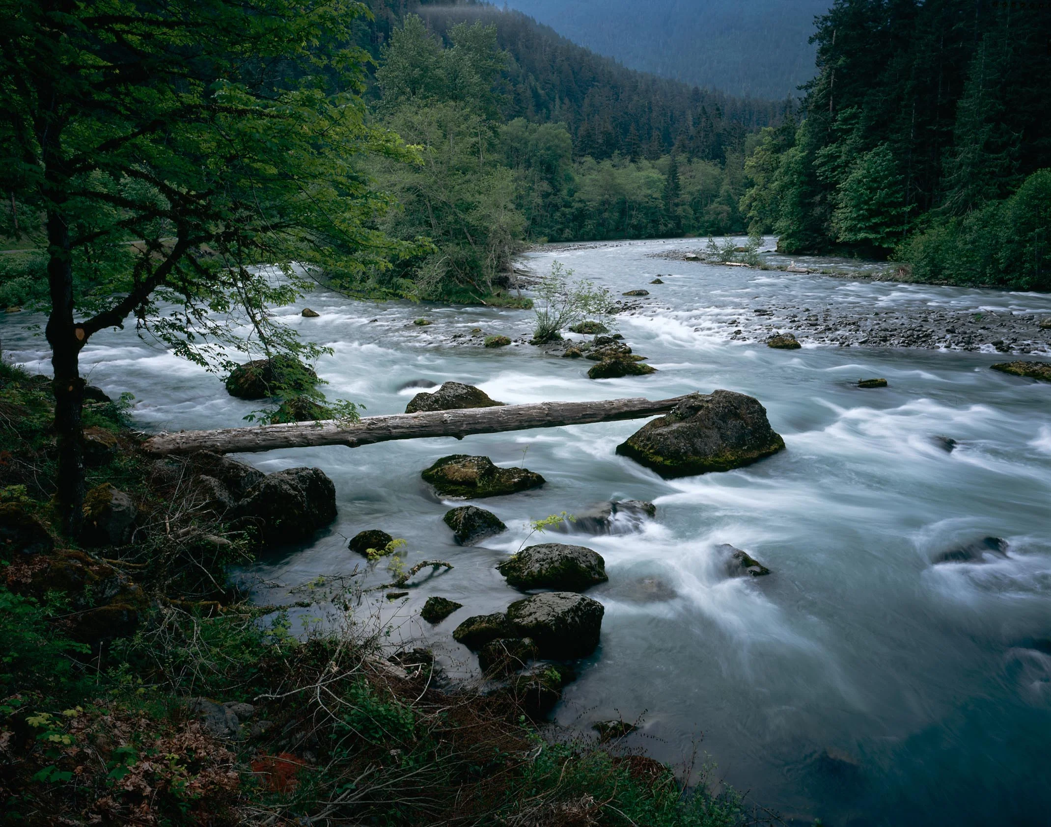 river-05.jpg
