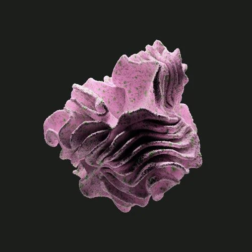 Nandu 'Forever In Our Favor' EP review | A magical worldly affair