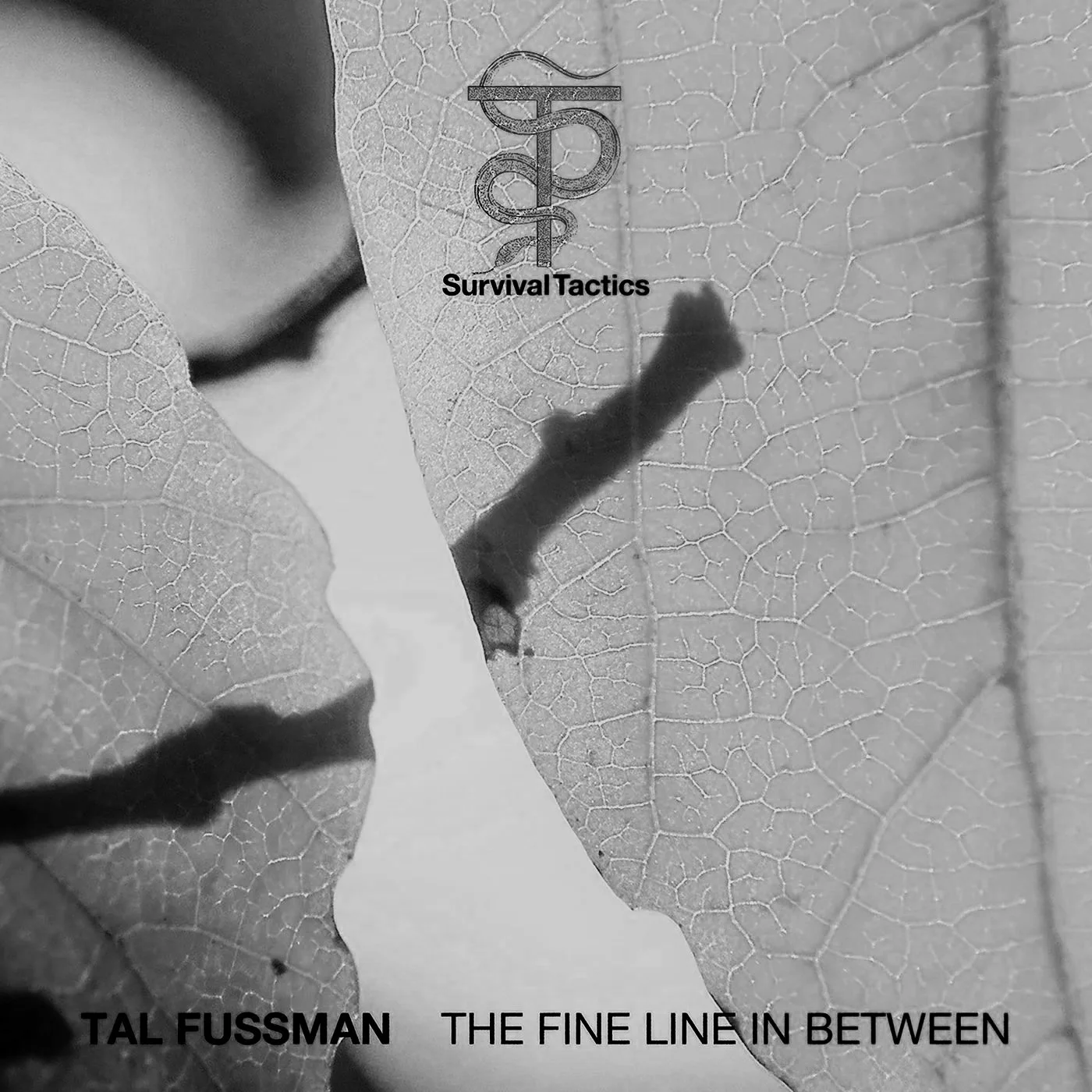 Tal Fussman - The Fine Line In Between: Full Force, and Harmony
