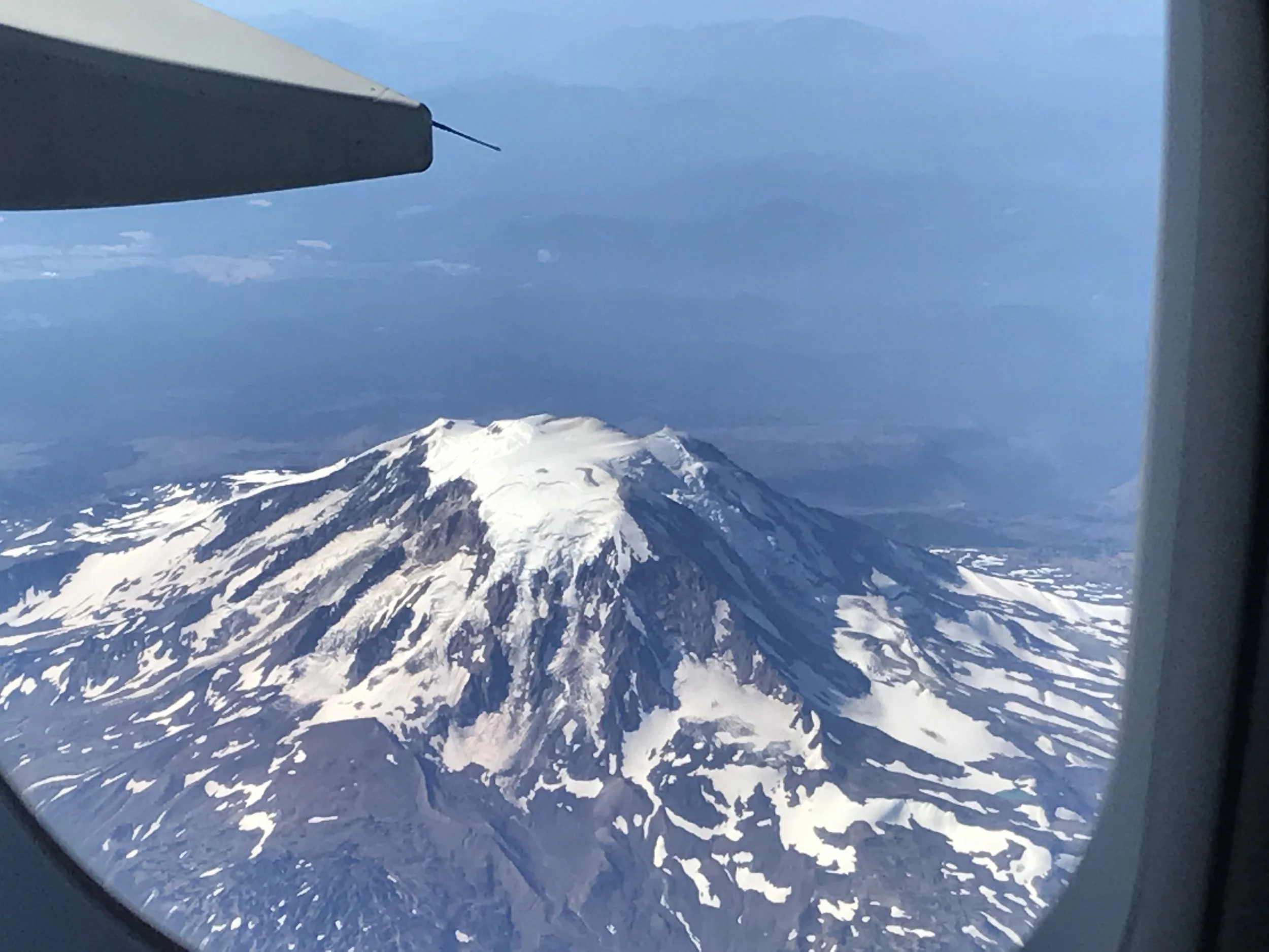 The View from the Middle Seat