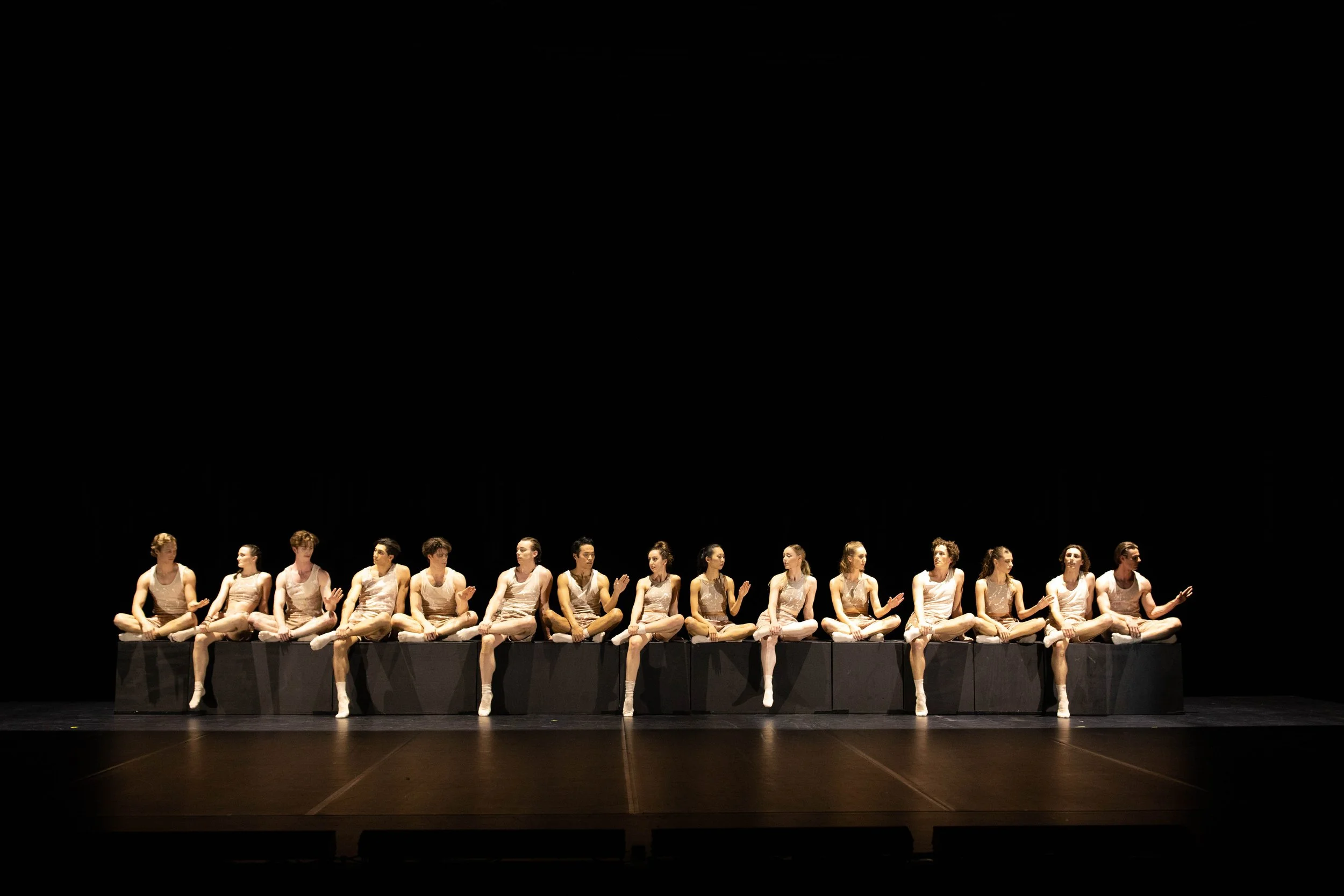 Biography 2- Photography David Kelly.JPG