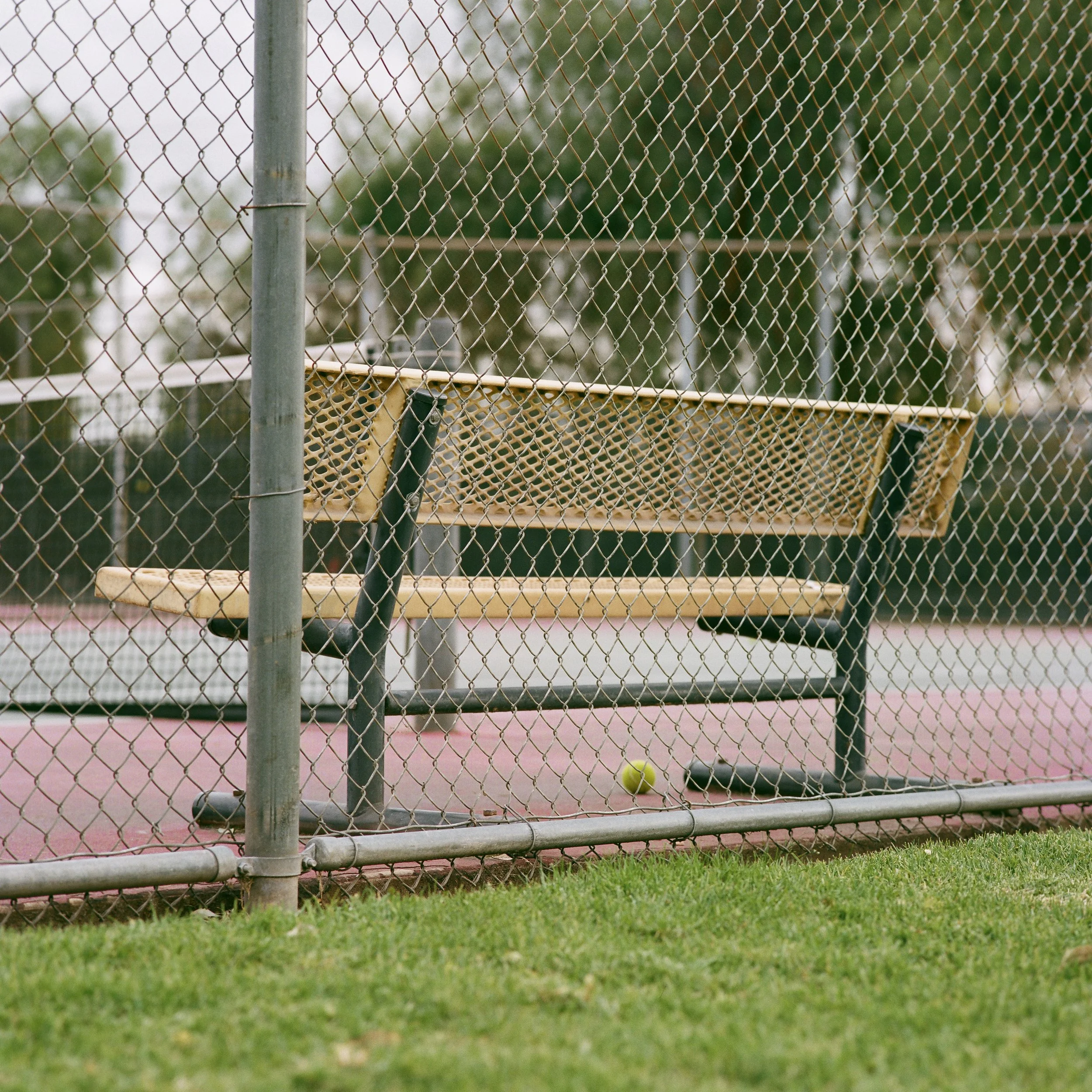 ColoradoPark1.jpg