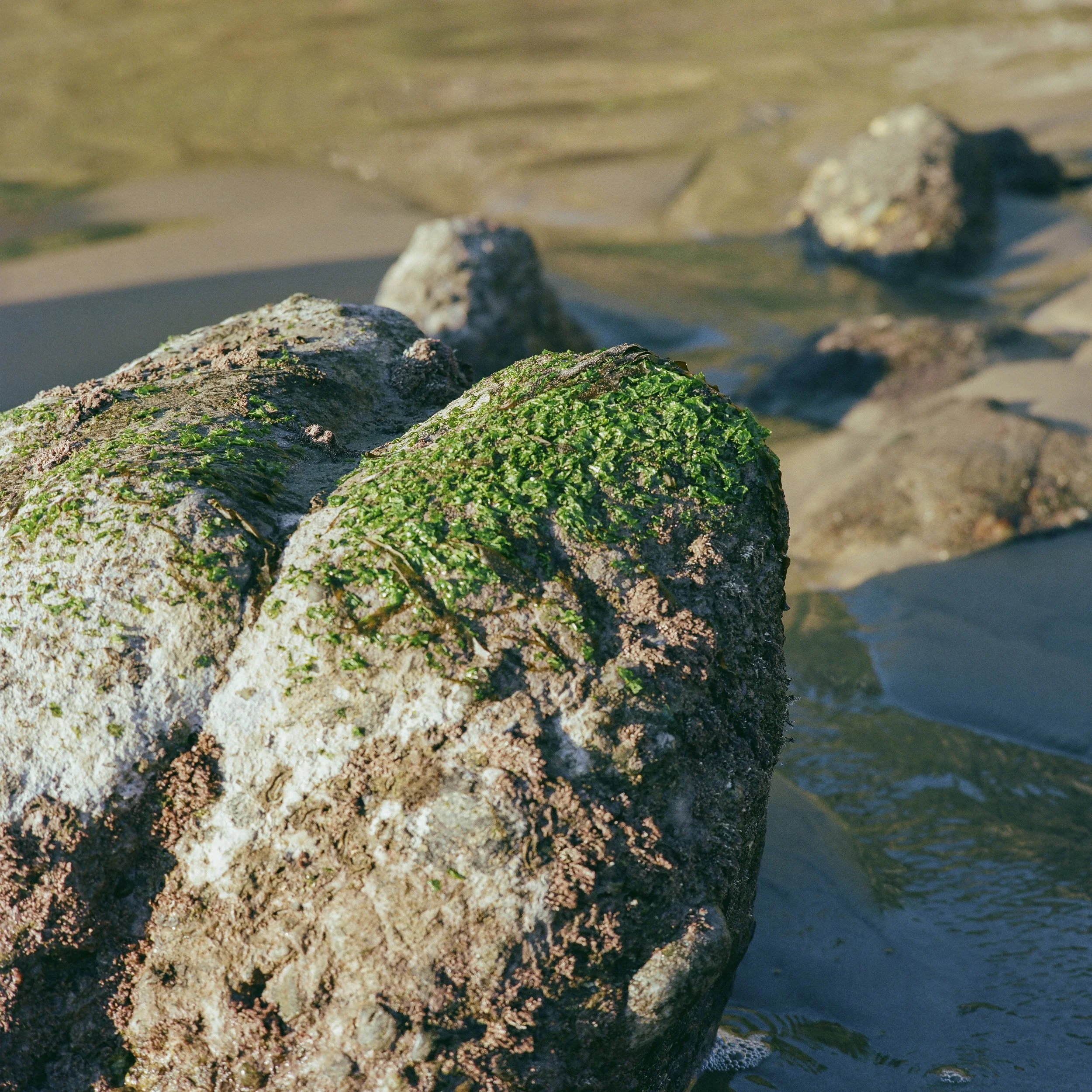 Malibu1.jpg