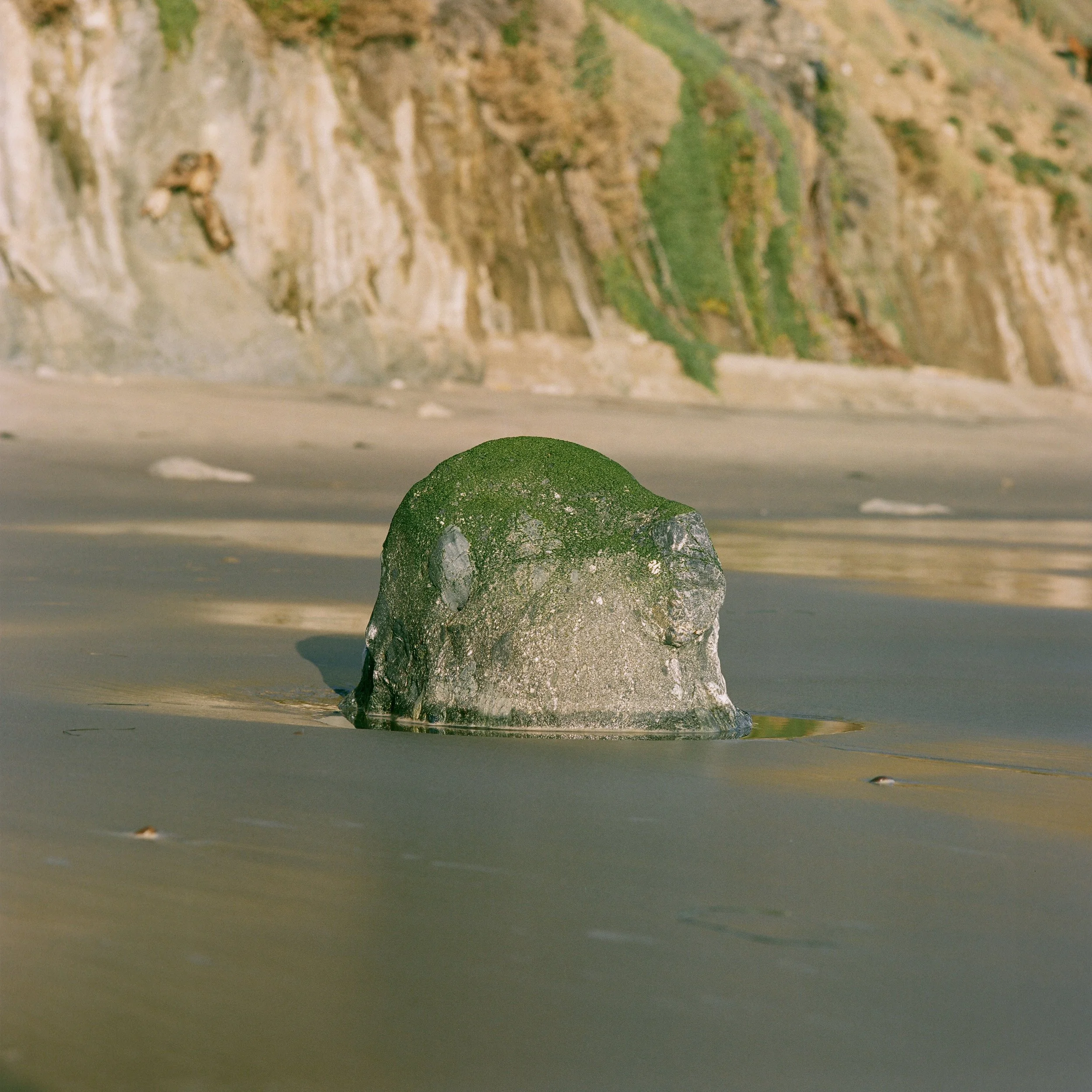 Malibu4.jpg