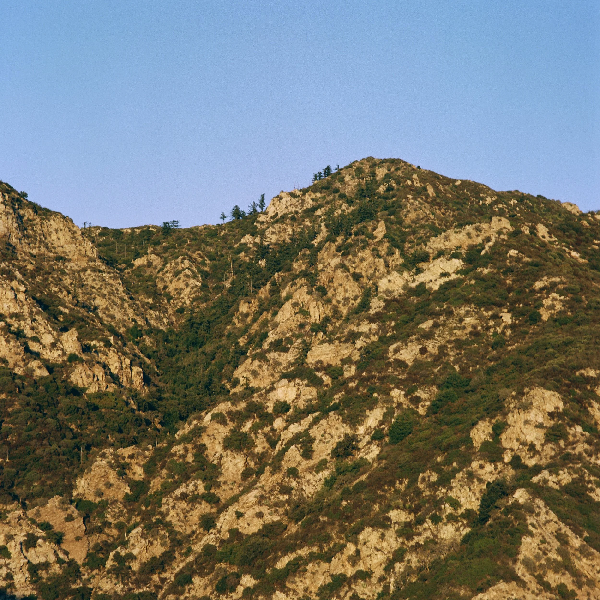 Cobb Estate2 120.jpg