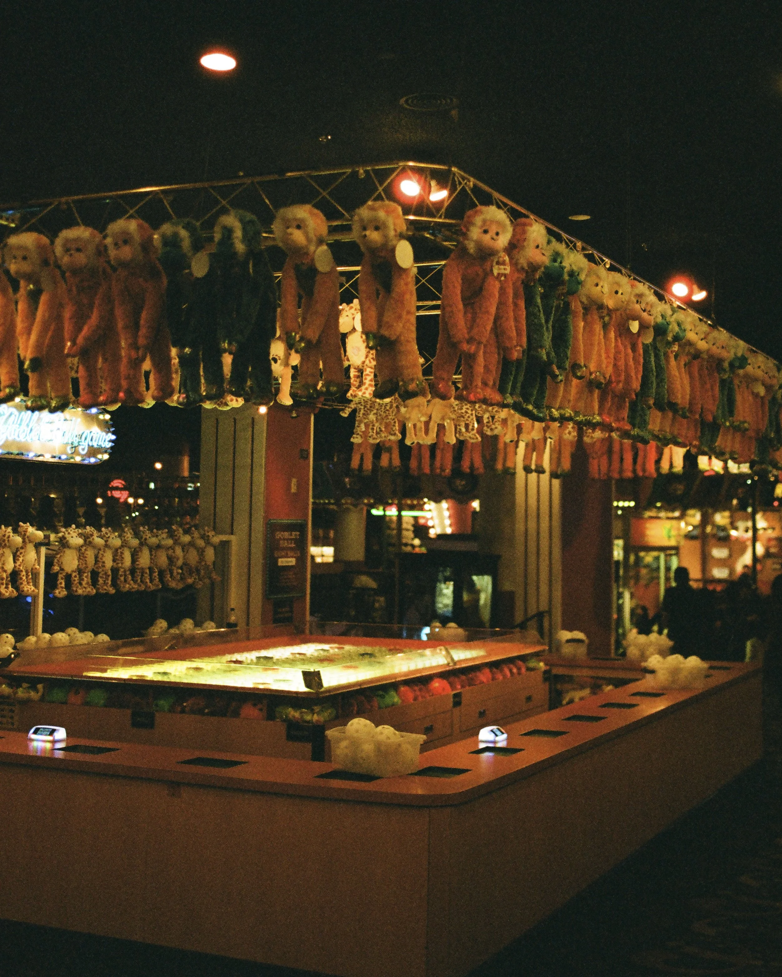 vegaslomo11.jpg