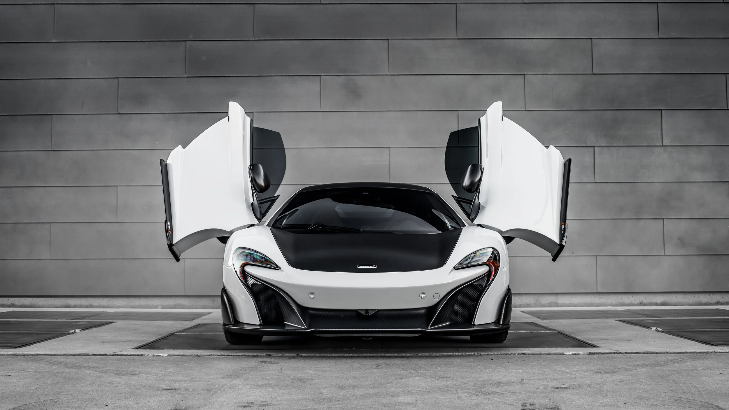 LongTail-5.jpg