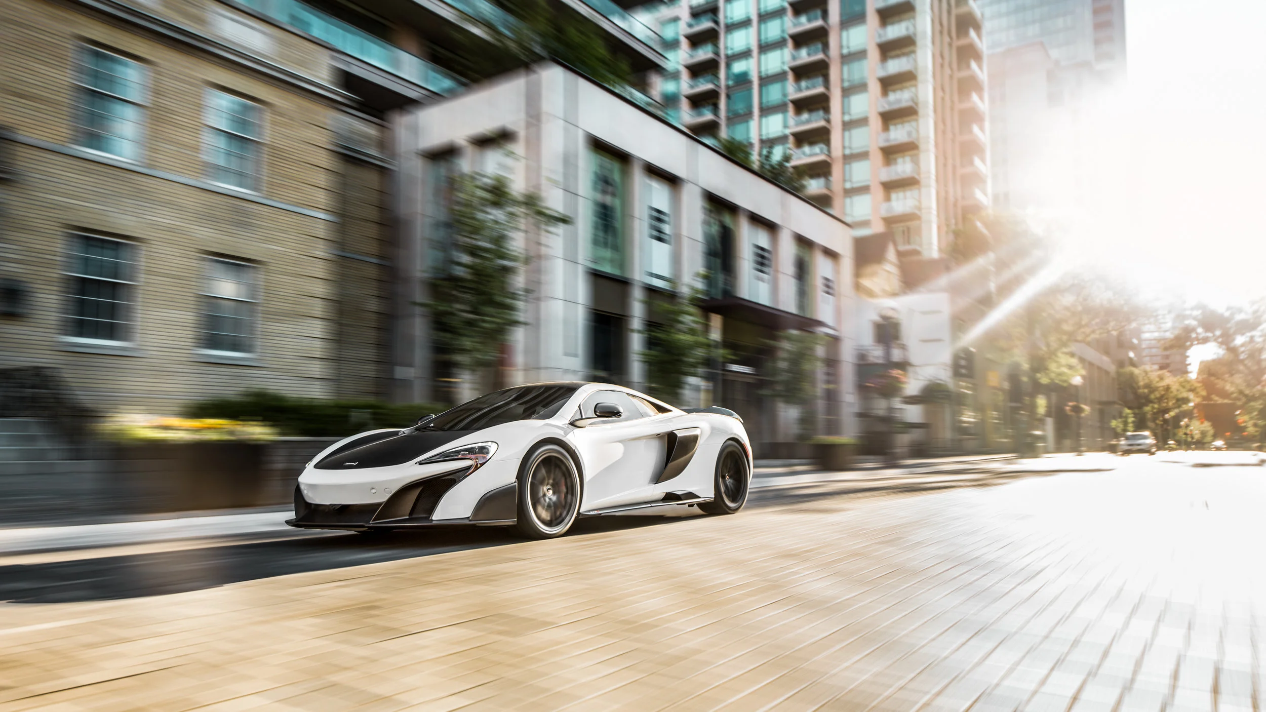 LongTail-8.jpg