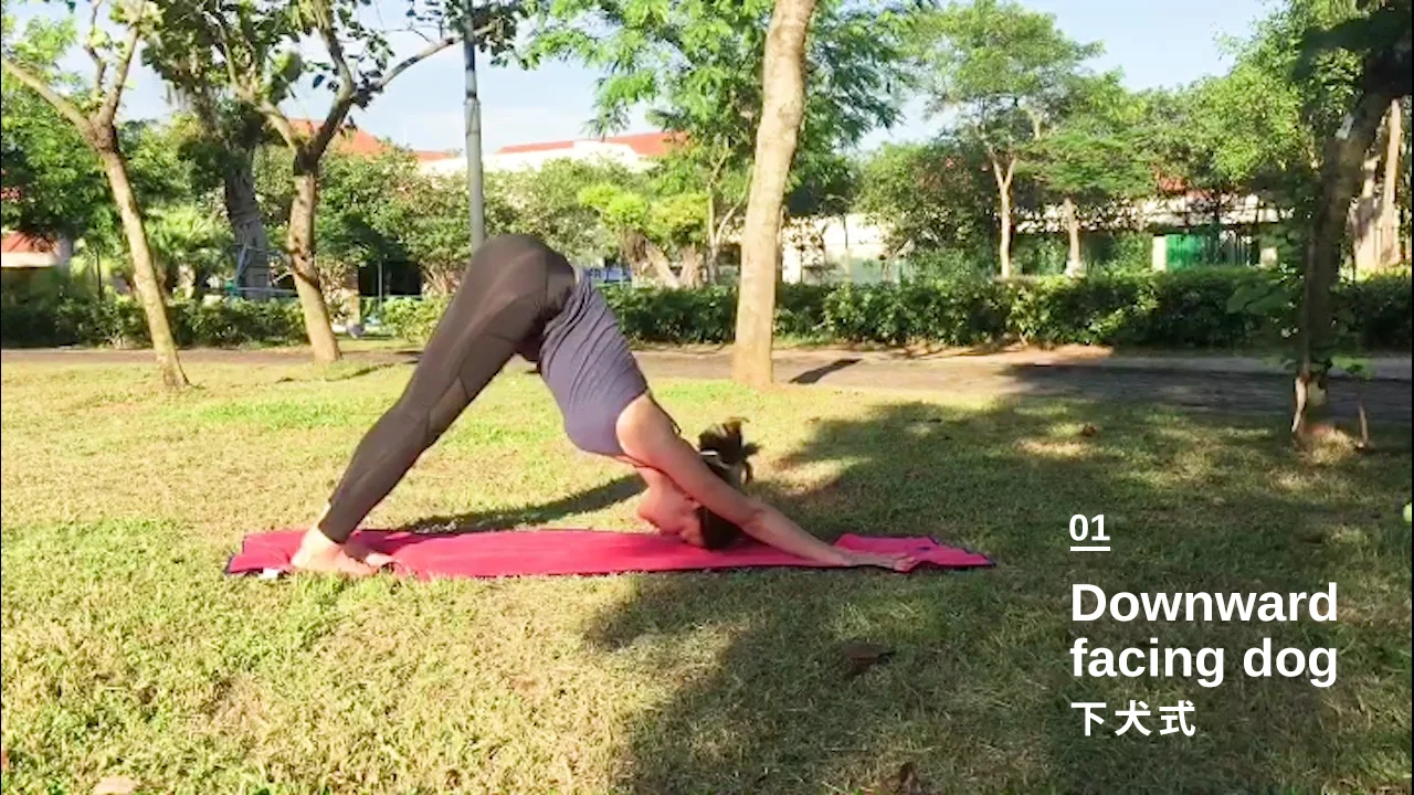 第一步 : 下犬式 Downward Facing Dog (Adho mukha śvānāsana)