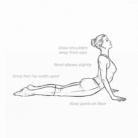 Benefit of Cobra Pose (Bhujangasana).jpeg
