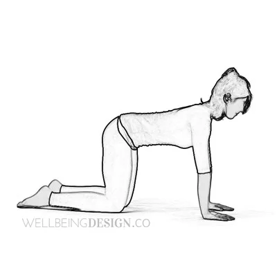 WellbeingDesign-yoga-asana-bharmanasana.jpg