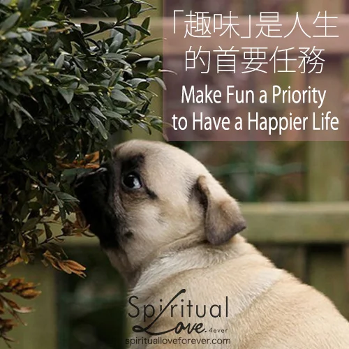 20150427-Quote_Make_Fun_Pug.jpg