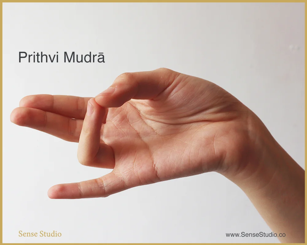 3.Prithvi Mudra-sense-studio.jpeg