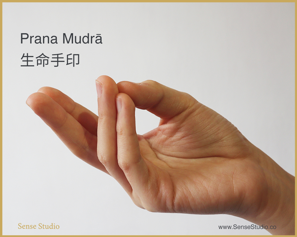 瑜伽手印| 五個必學的瑜伽手印(Mudra) | Sense Studio