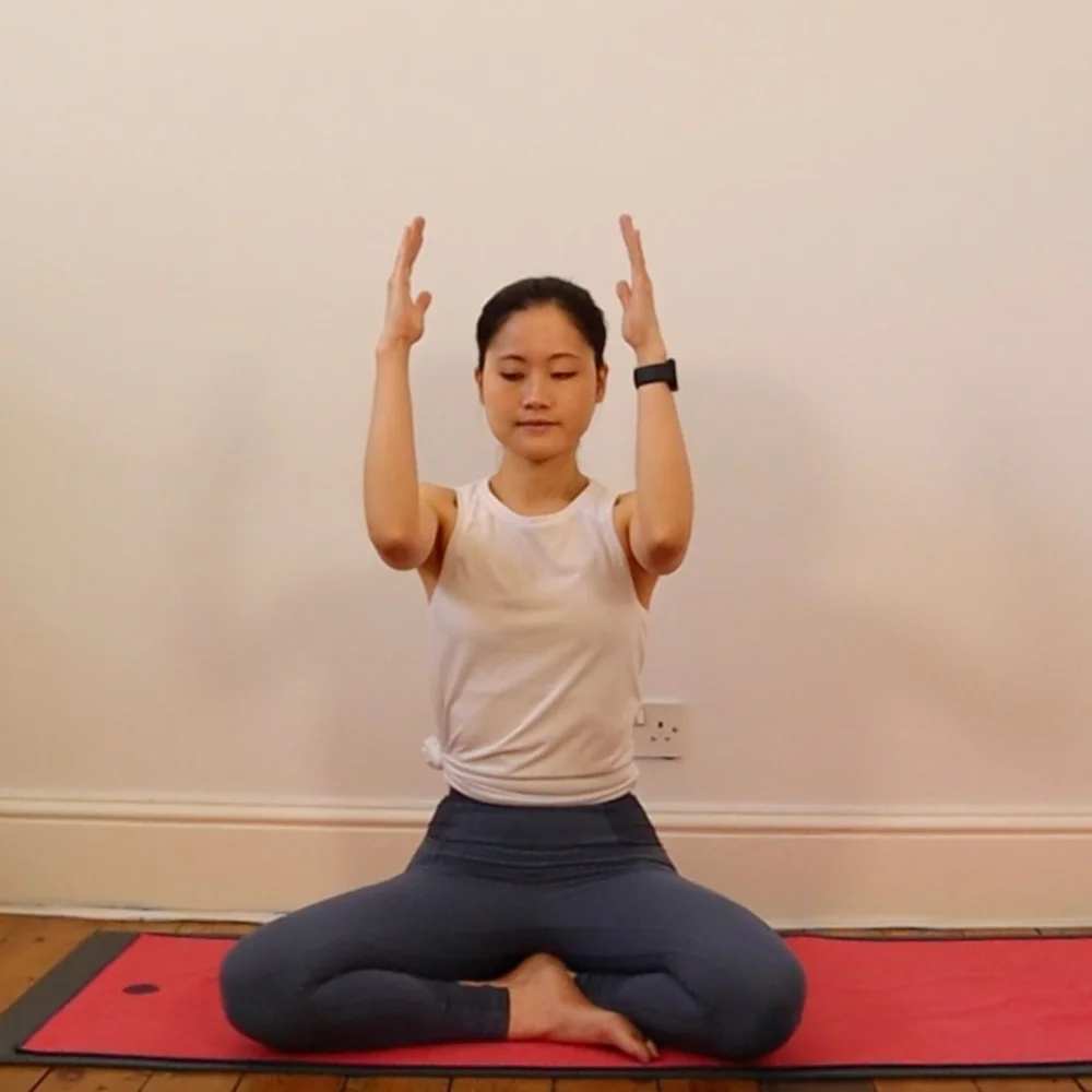 Eagle Arms (Garudasana Arms)