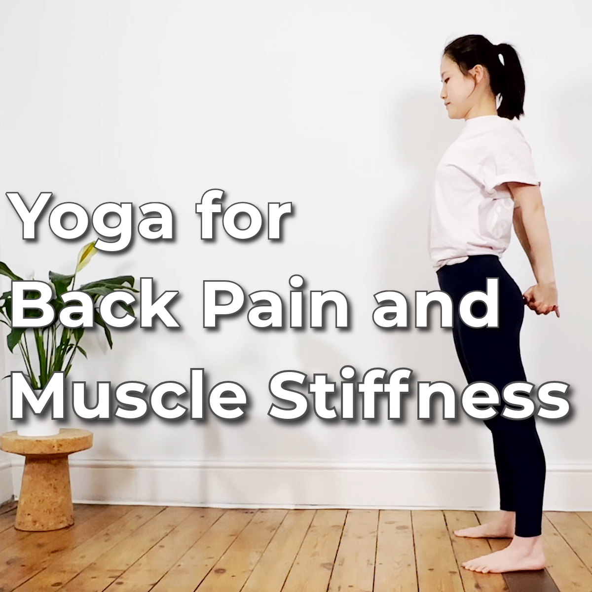 Yoga for Back Pain &amp; Muscle Stiffness: A Daily Beginner Hatha Yoga Practice