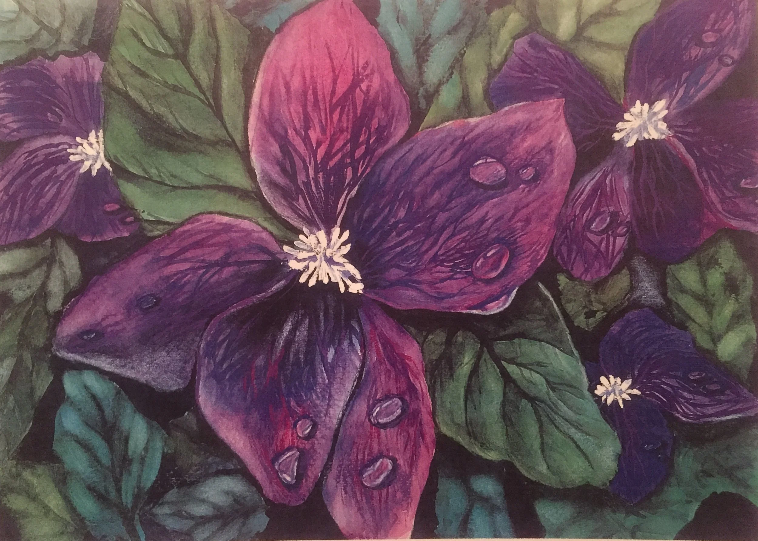 Violets, Watercolor