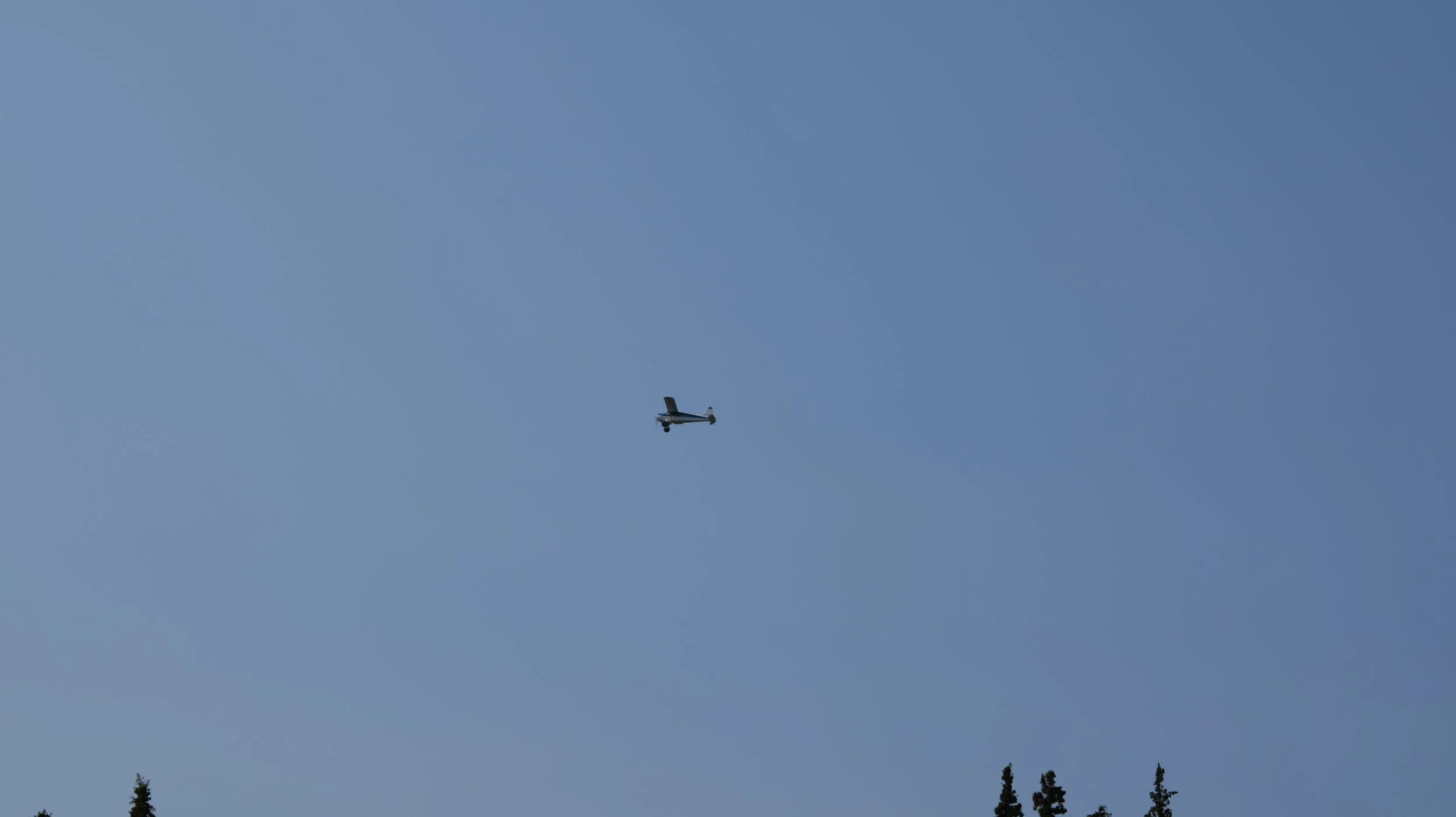 P1000486.JPG