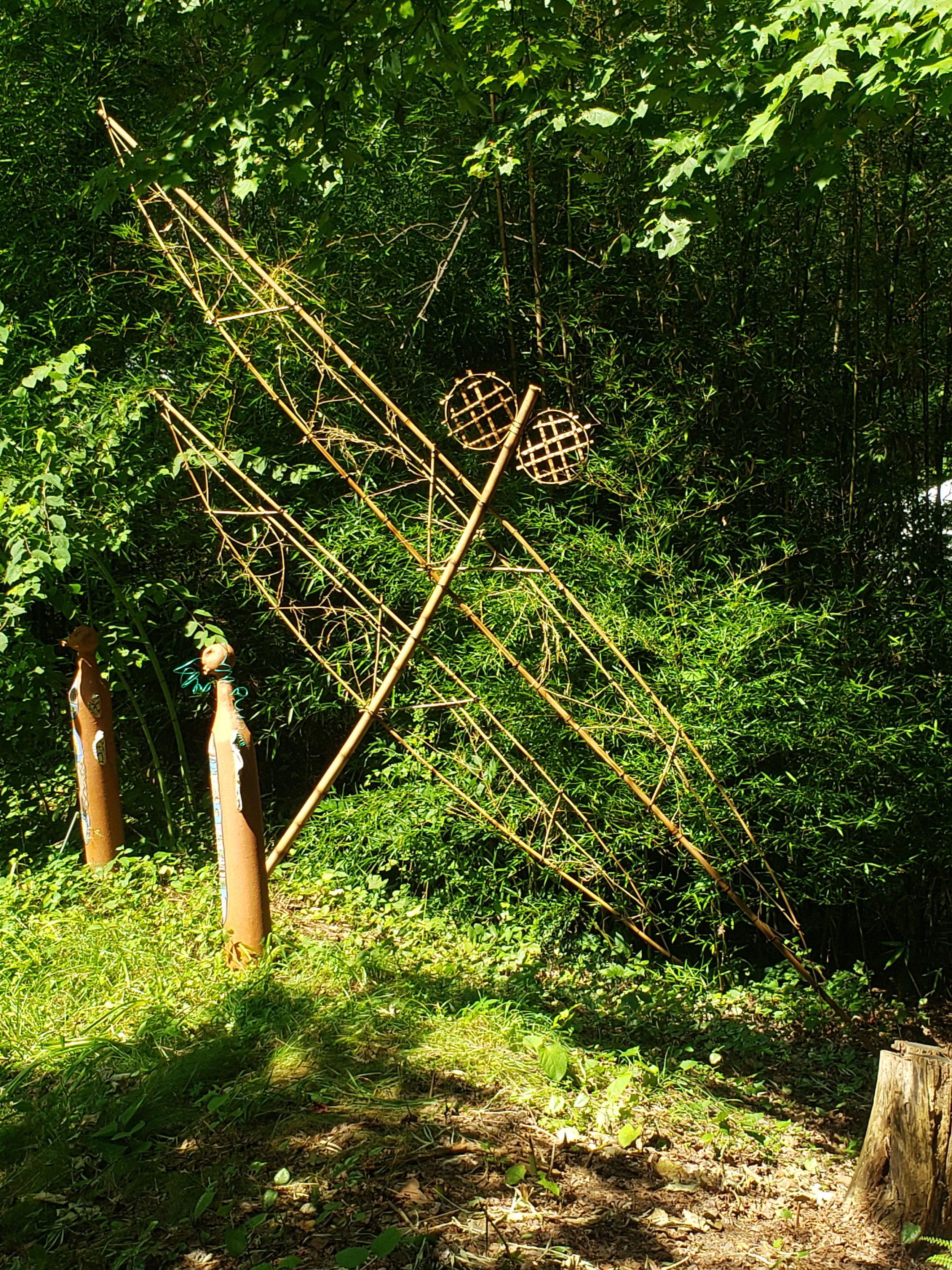  Bamboo Dragonfly next to a bamboo grove, Bishop Gardens, Hocking Hills Ohio. 