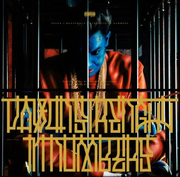 PAV4N Calls For Action And Unity On ‘Strength In Numbers’