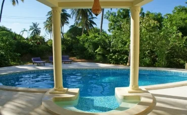 KingL-pool.jpg