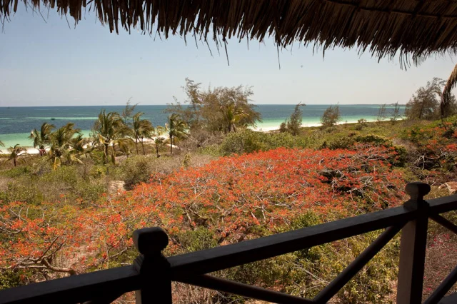 View_of_Watamu_Beach.jpg